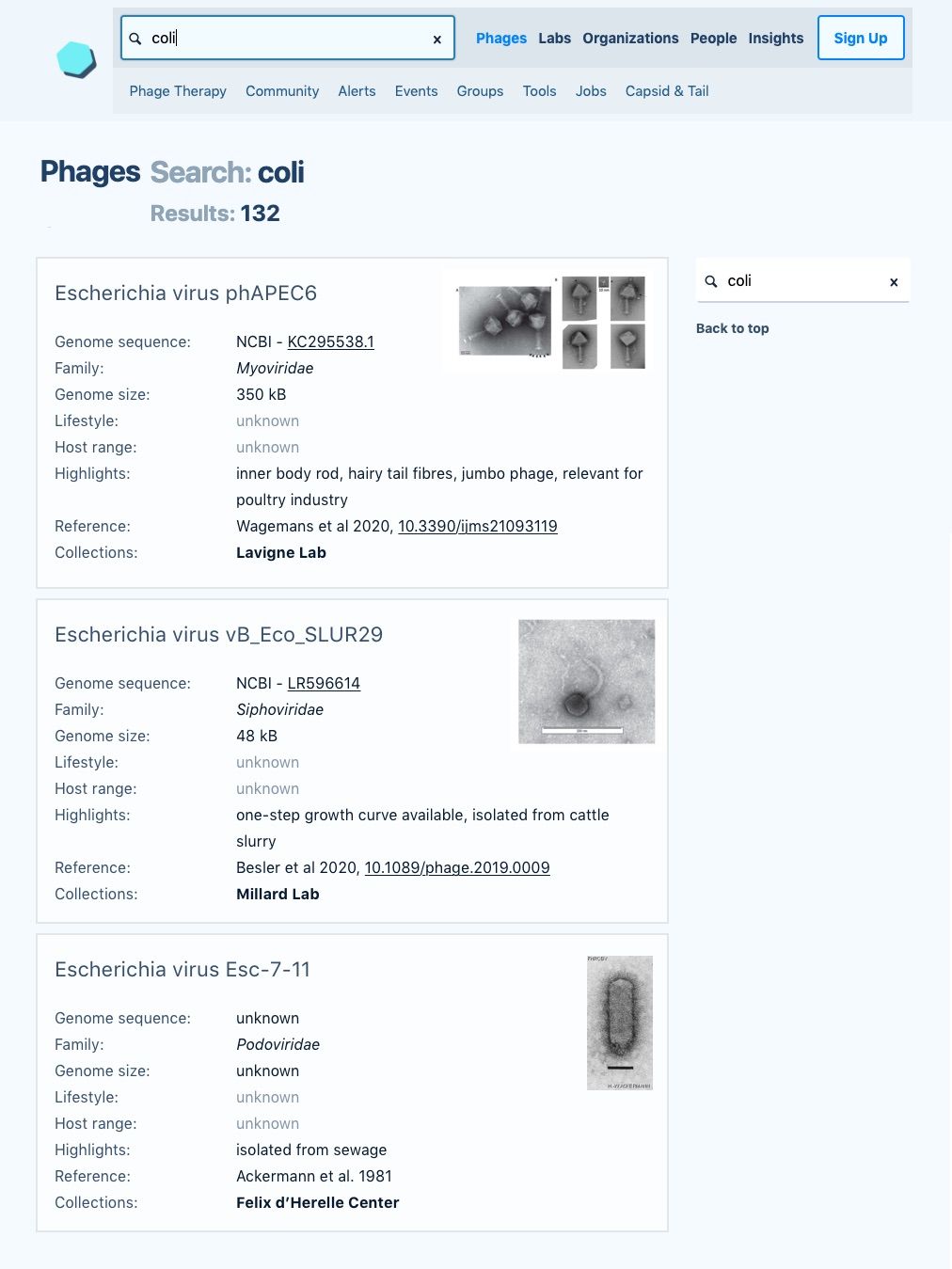 Wireframe showing a future Phage Directory search result.