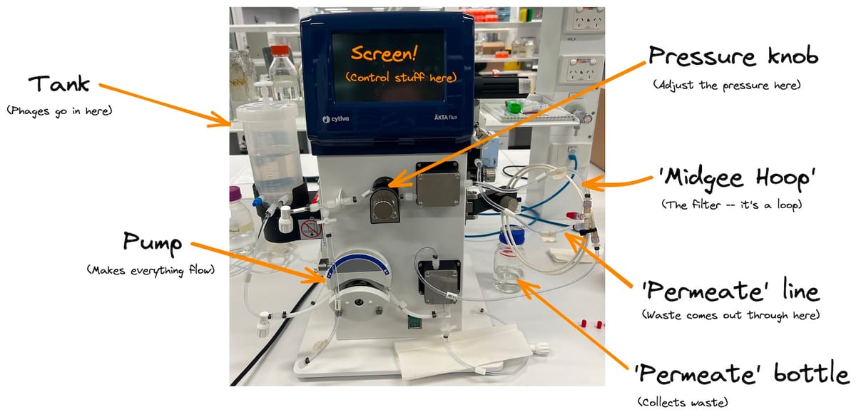 Here’s the AKTA Flux S, and the main things you need to care about. It’s pretty simple! Set up your filter of choice on the right, add your phage to the tank on the left, set your parameters, and start the pumps