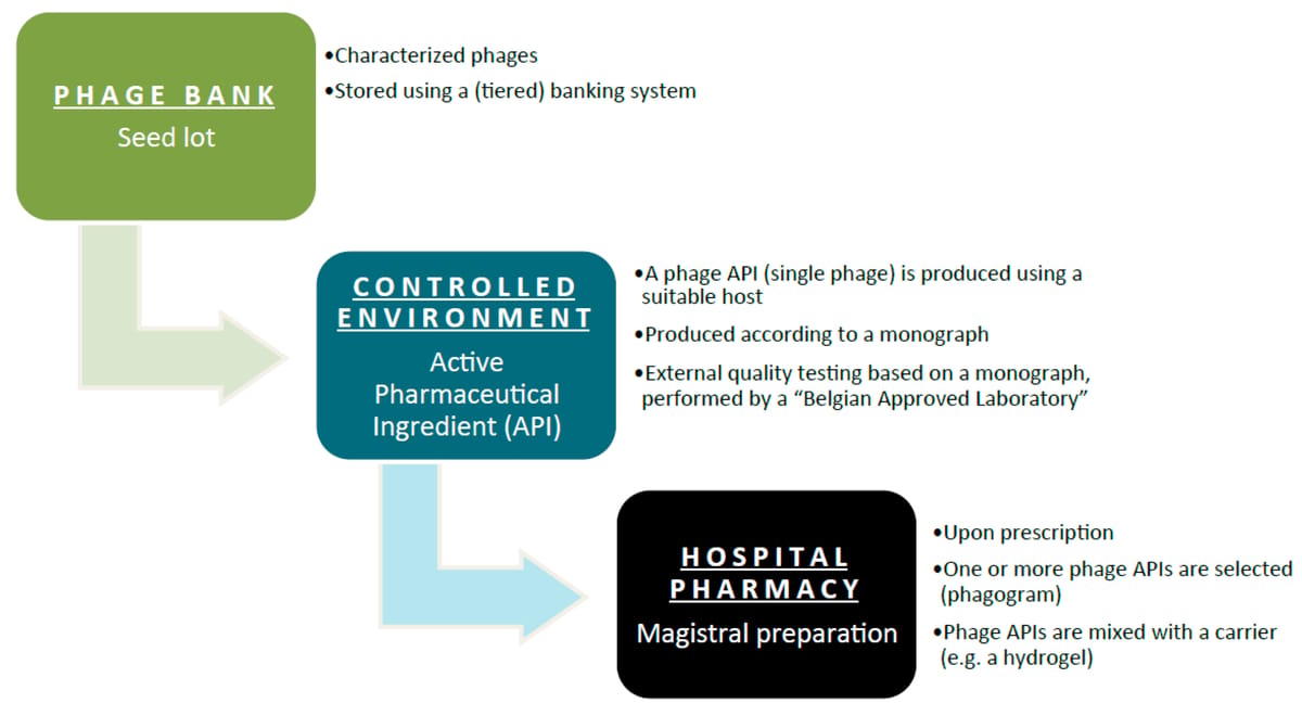 Belgian phage therapy flowchart