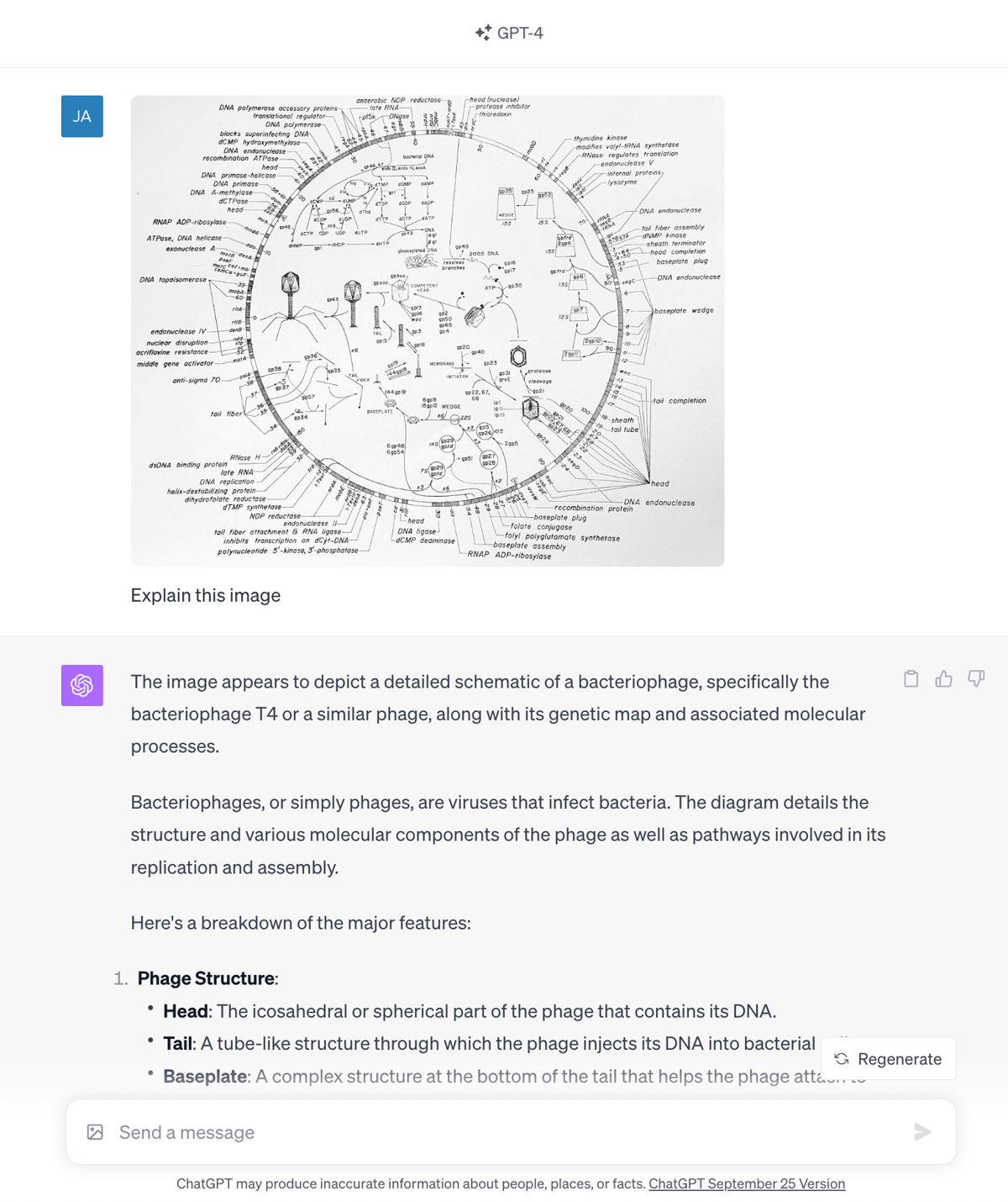Fig 2. GPT-4 explaining the diagram without any prior knowledge. It tries to go into the full genome map later on but gives up — you’d have to reprompt it, but it’s still impressive.