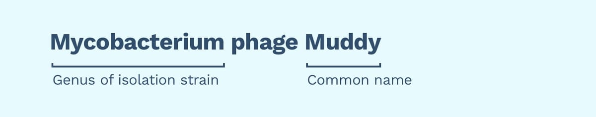 basic naming.jpg