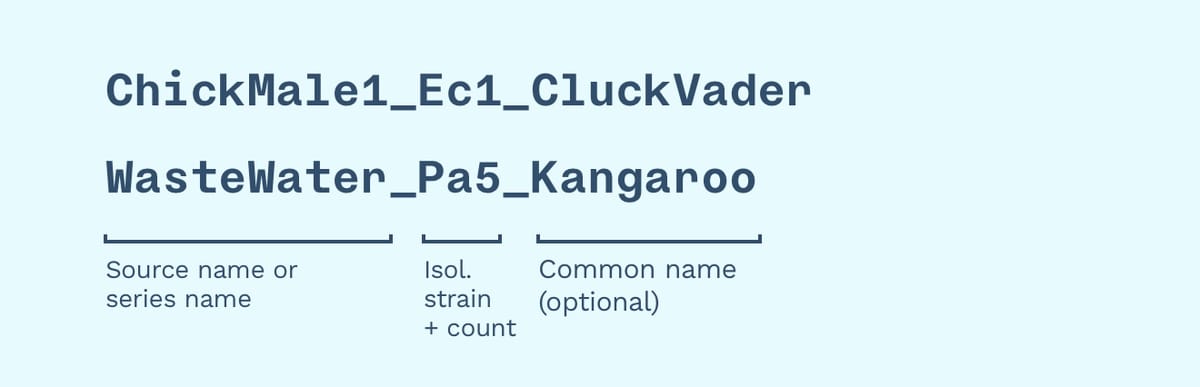 naming system.jpg