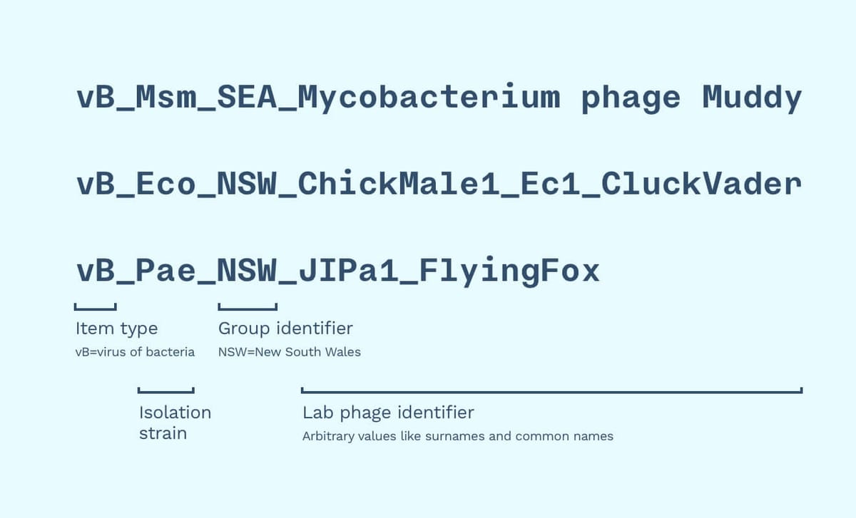 naming system complex.jpg