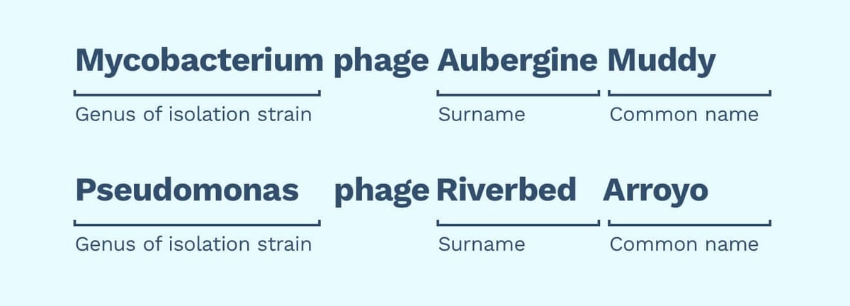 surnaming.jpg