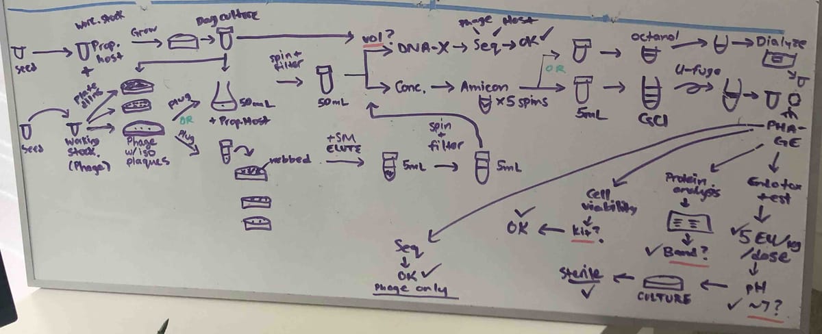 Whiteboard