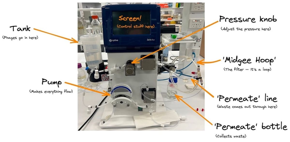 Figure 1 – AKTA flux for phage purification