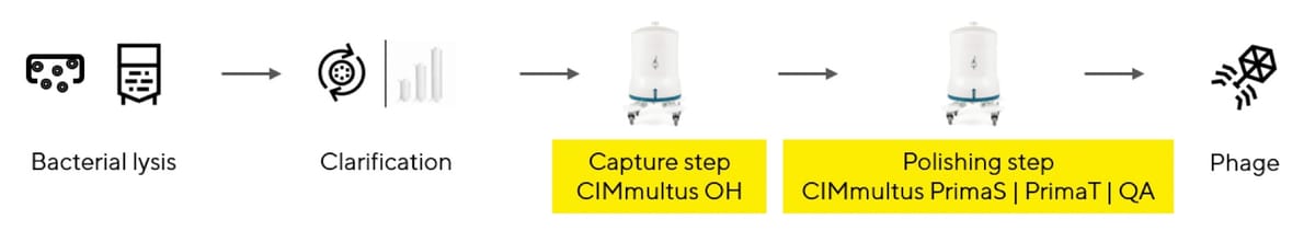 Two-step chromatographic purification of phage from gram-negative bacteria for human therapy. Flow chart of the steps involved in CIMmultus OH chromatography: bacterial lysis, clarification, capture step CIMmultus OH, polishing step CIMmultus PrimaS/PrimaT/QA, then pure phage at the end.