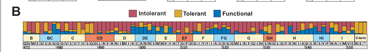 Intolerant, tolerant, and functional substitutions