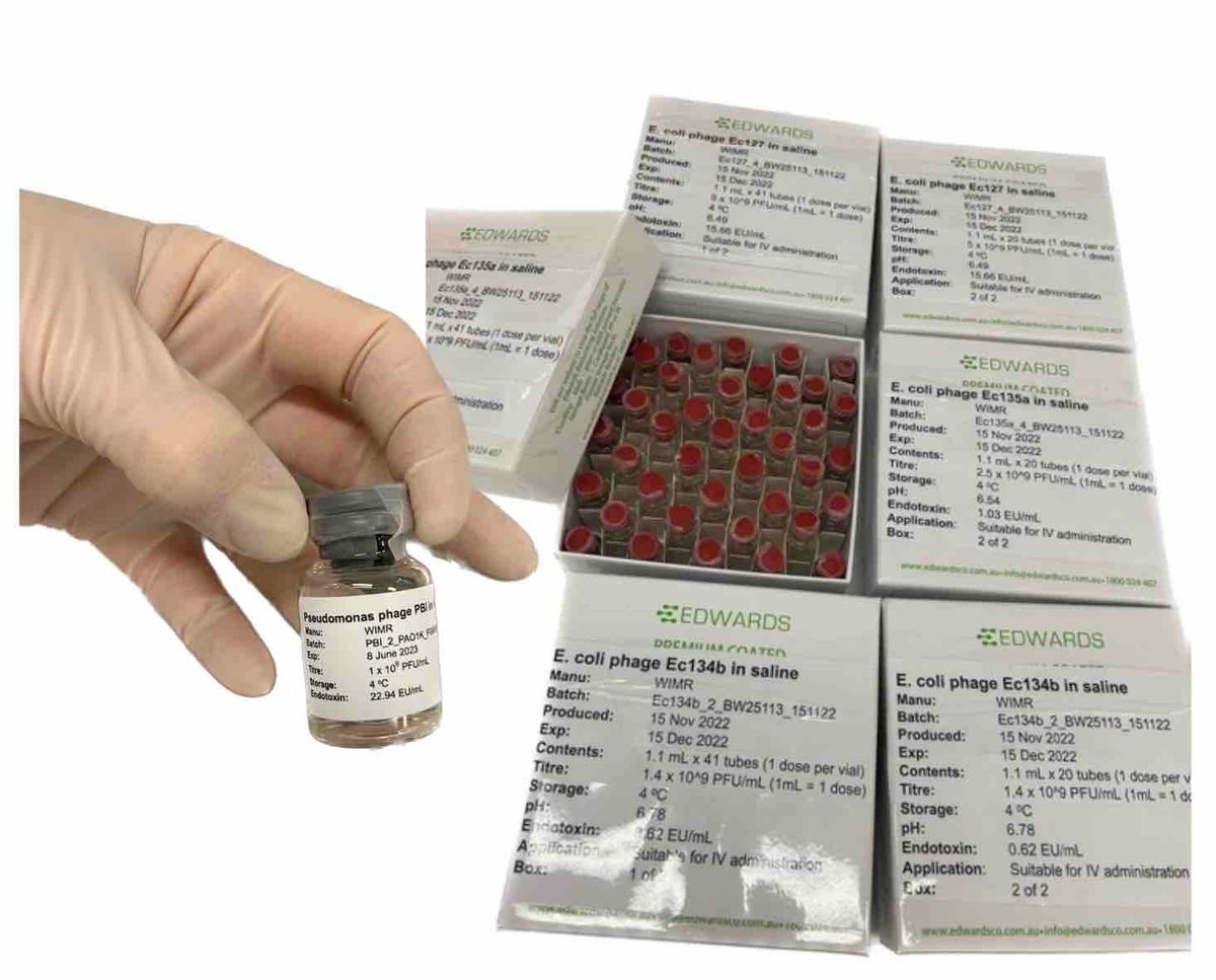 Figure 5. Labeled phage vials in boxes, ready to go to the patient.
