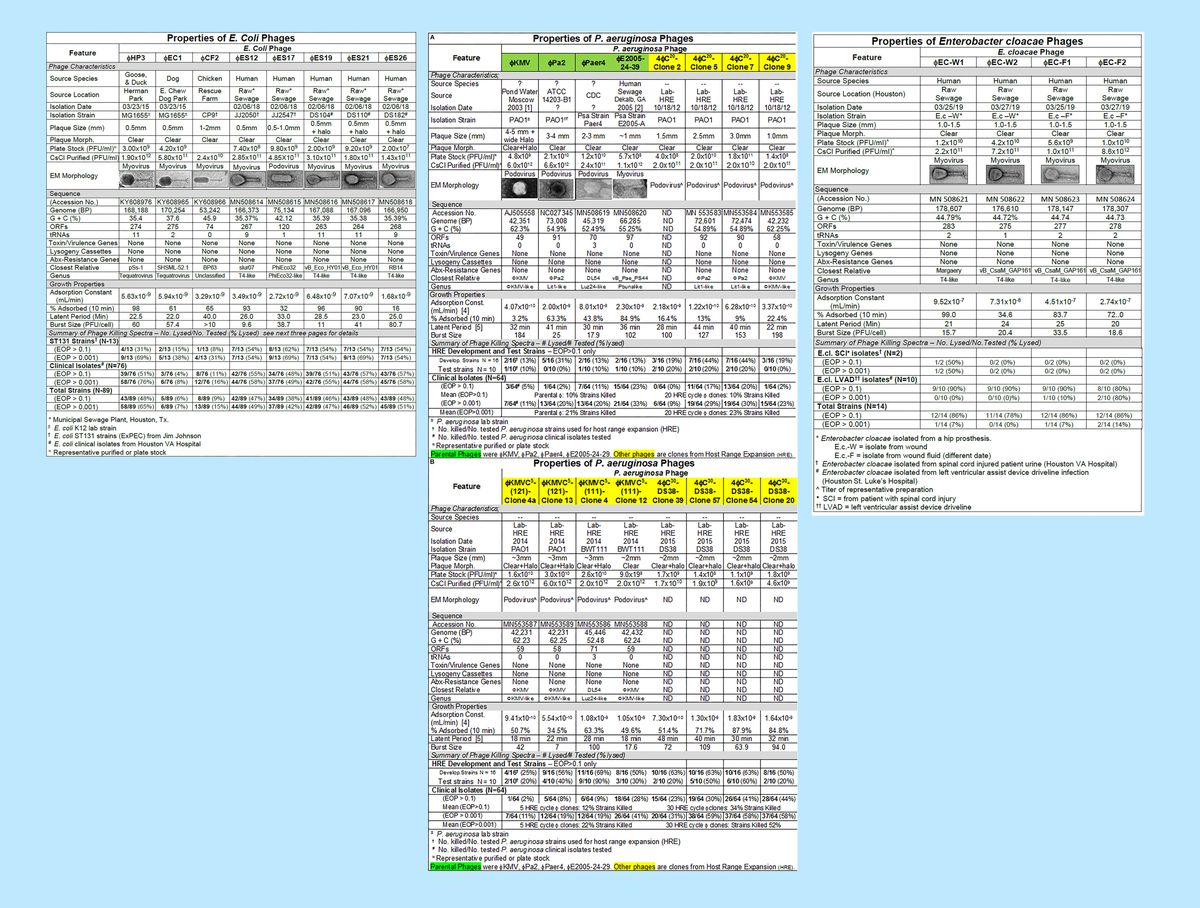 The full image of the phage characterization charts side by side