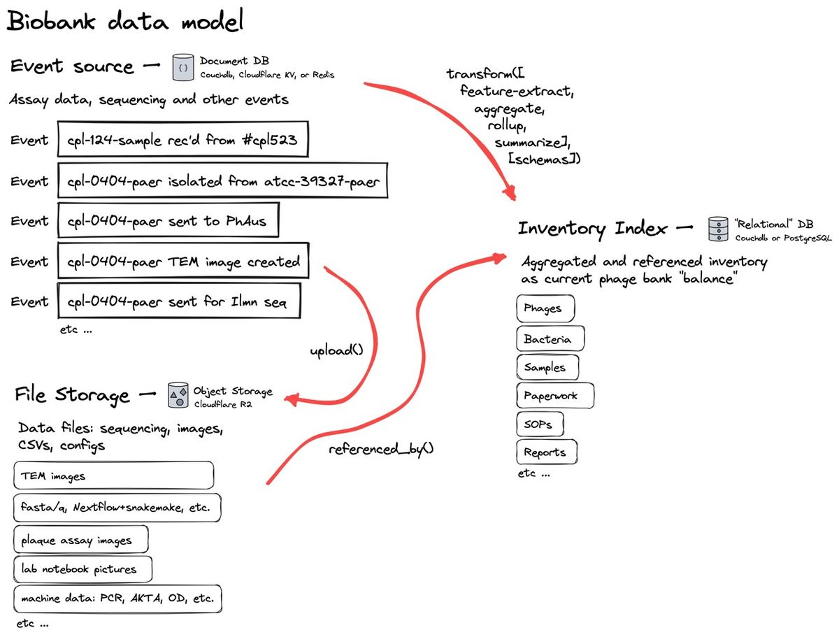 Fig 7. In this simple data model, all lab results data is collected as event logs in the “Event source” database. All files, like CSVs and FASTA files are uploaded to the file storage database. We can then combine and calculate information about our phages and bacteria directly from all the lab results and uploaded files, into an “Inventory Index” which, like a bank account balance, is always kept up to date. Any additions, edits, or corrections are added as new “events,” which are then recalculated into the Inventory Index. Such a system allows a lab’s data to be auditable at any point in time.