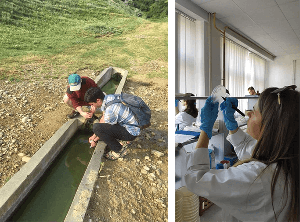 Phage hunting and a student checking for phage plaques