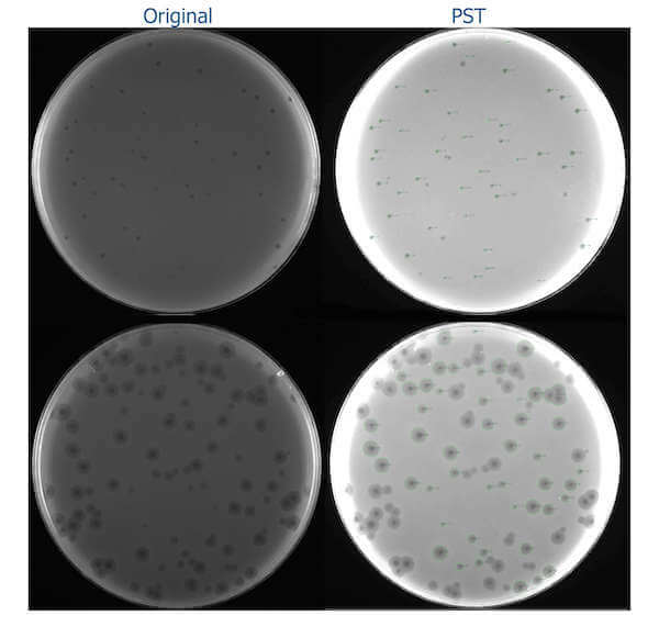 Plate example