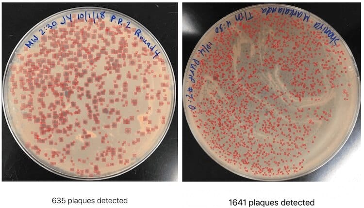 photo onepetri plaques