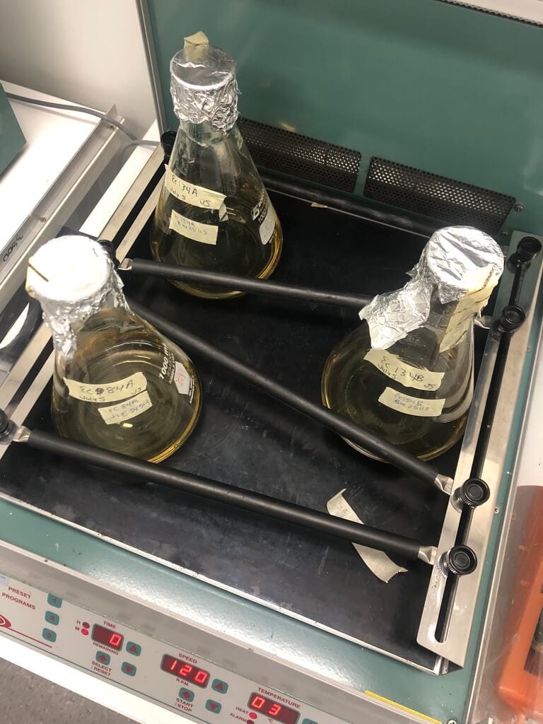 Figure1 flasks