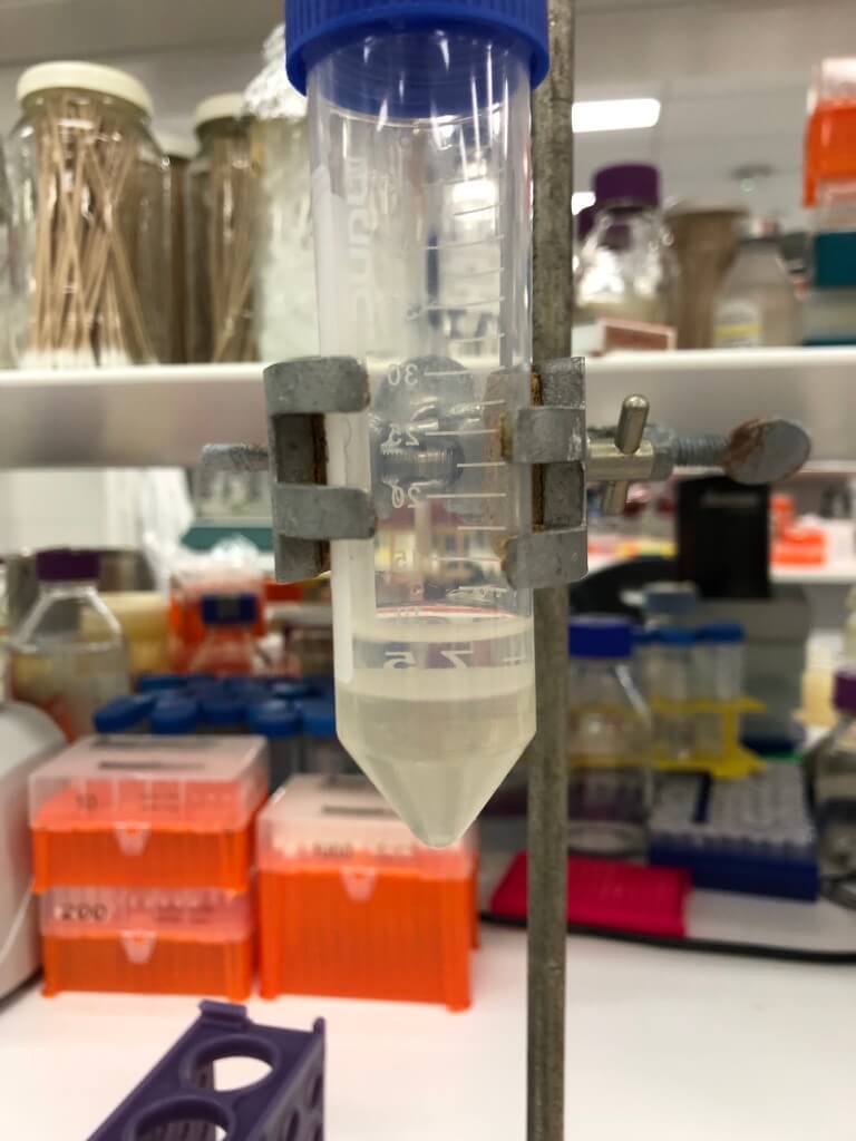 Figure3 octanol