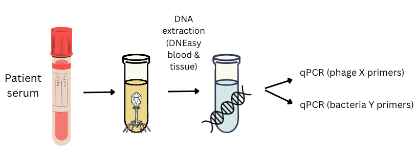 fig1
