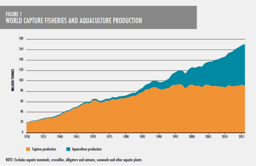 Fig 1 — Amount of wild fish captured by fishing activities