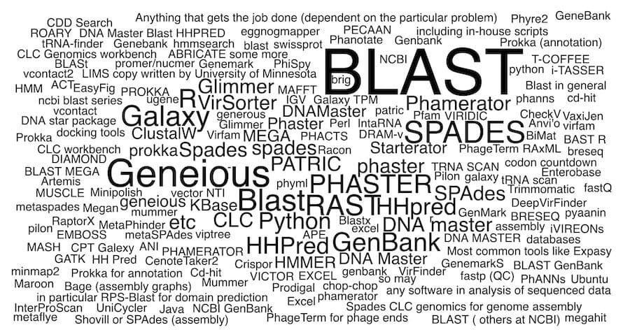 Bioinfo word cloud