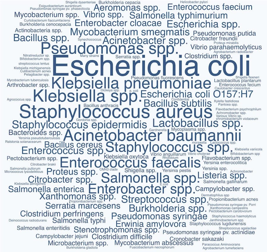 Strain Word Cloud