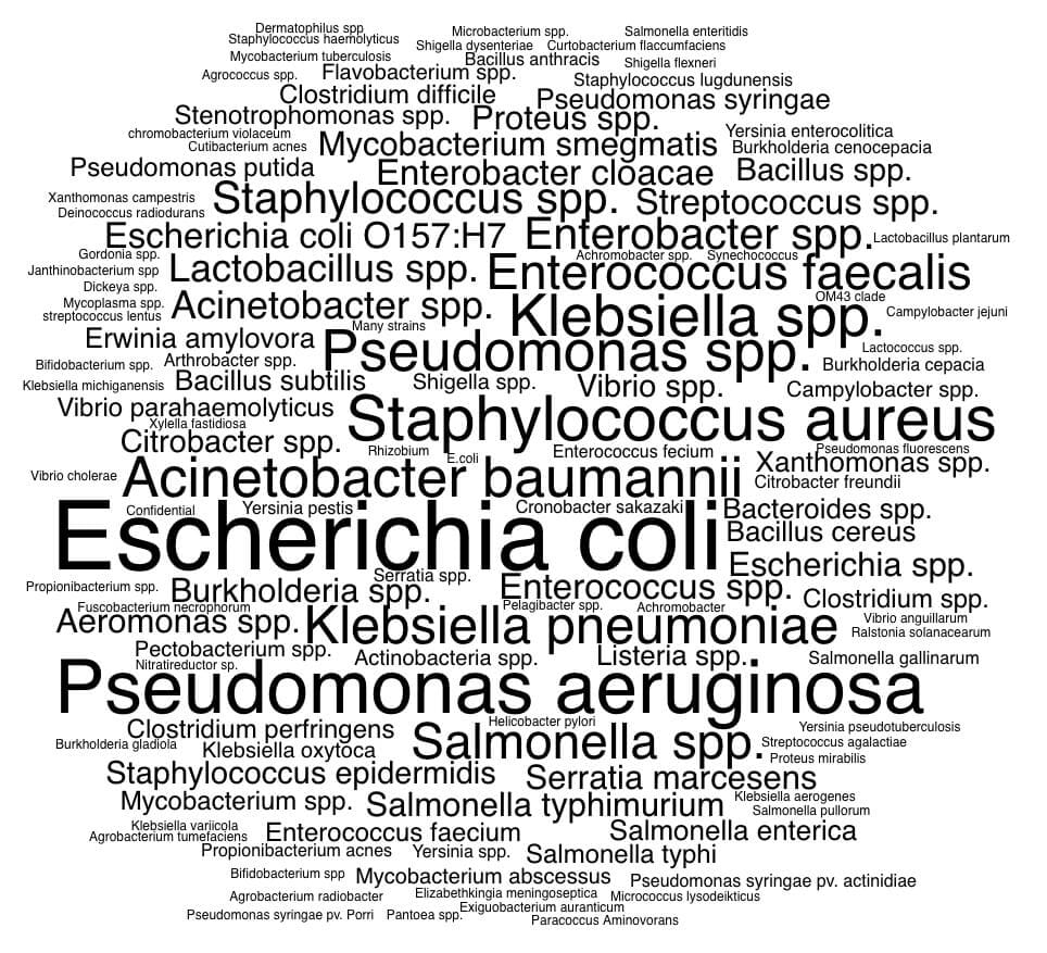 Phage species word cloud
